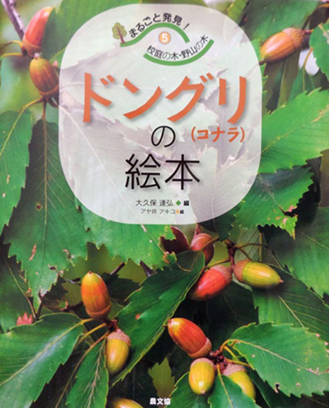 画像：「ドングリの絵本」