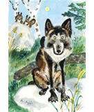 一番星とオオカミの夕べ