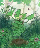 いちょうのこども