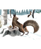 しらないあのこ